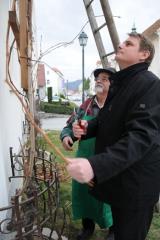 Župan mag. Marko Diaci in mestni viničar Jurij Malovrh med rezitvijo